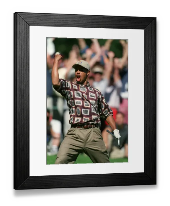 Framed Print : Tiger Woods Framed Print : Tiger Woods