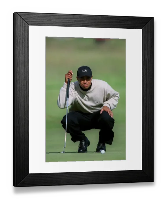 Framed Print : Tiger Woods Framed Print : Tiger Woods