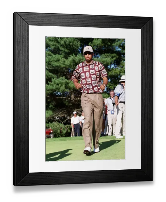Framed Print : Tiger Woods Framed Print : Tiger Woods