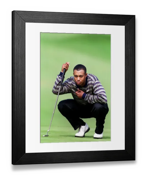 Framed Print : Tiger Woods