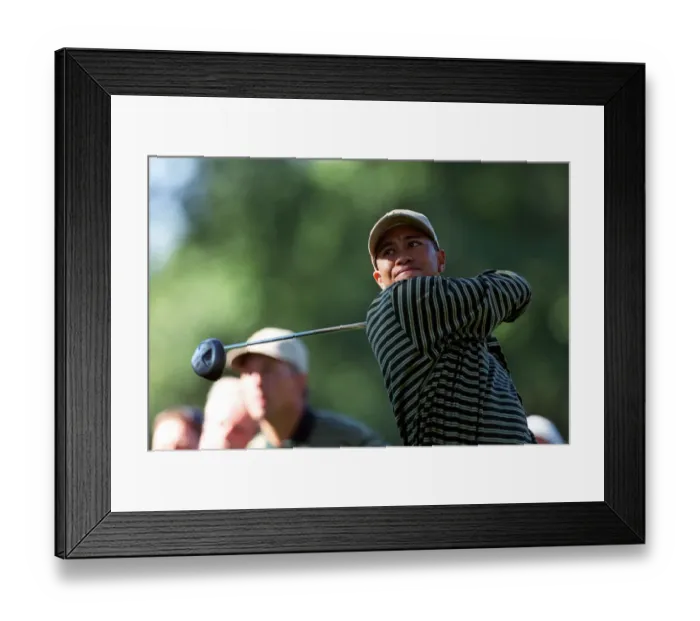 Framed Print : Tiger Woods Framed Print : Tiger Woods
