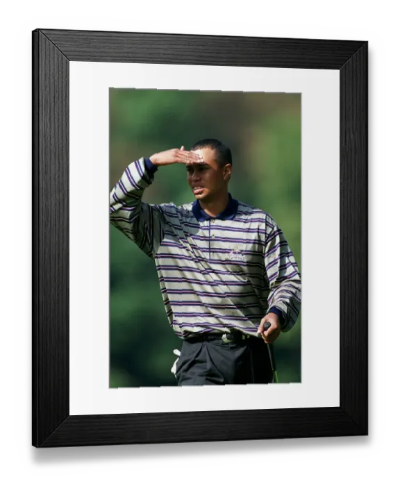 Framed Print : Tiger Woods Framed Print : Tiger Woods