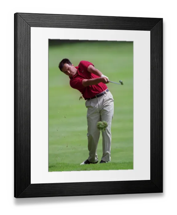 Framed Print : Raphael Jaquelin