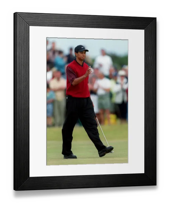 Framed Print : Tiger Woods Framed Print : Tiger Woods