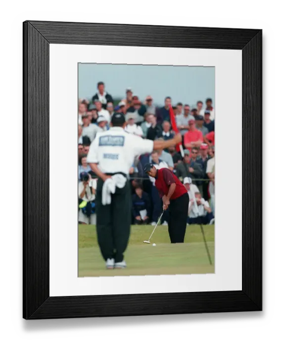 Framed Print : Tiger Woods Framed Print : Tiger Woods