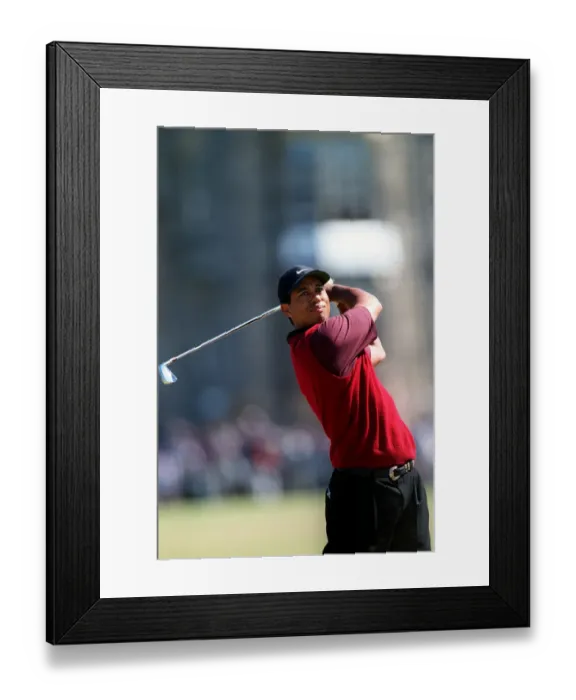 Framed Print : Tiger Woods Framed Print : Tiger Woods