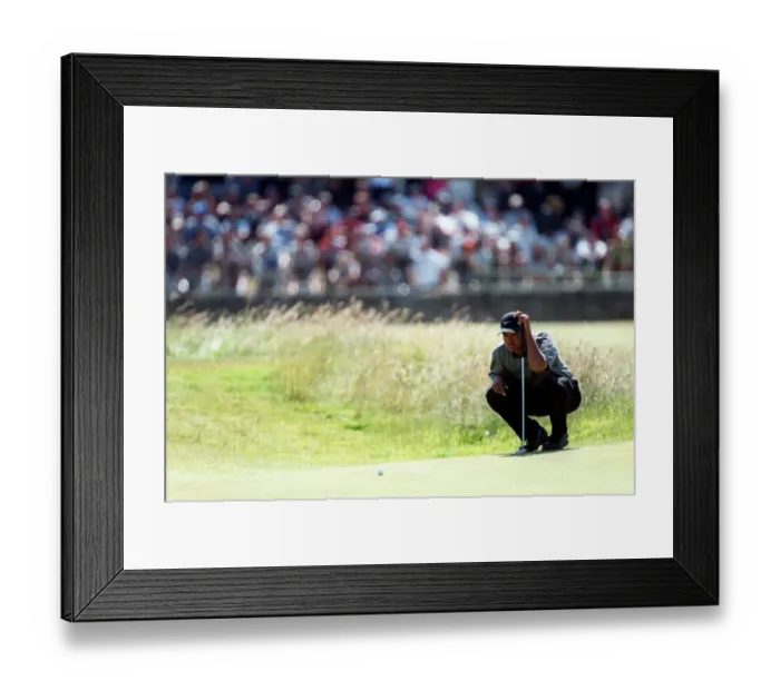 Framed Print : Tiger Woods