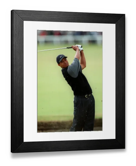 Framed Print : Tiger Woods Framed Print : Tiger Woods