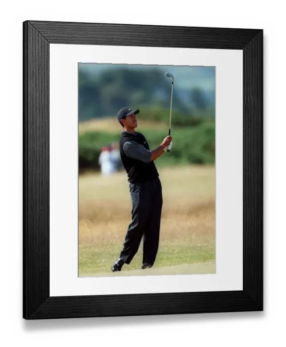 Framed Print : Tiger Woods Framed Print : Tiger Woods