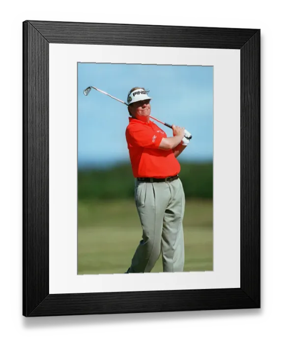 Framed Print : Tim Herron Framed Print : Tim Herron