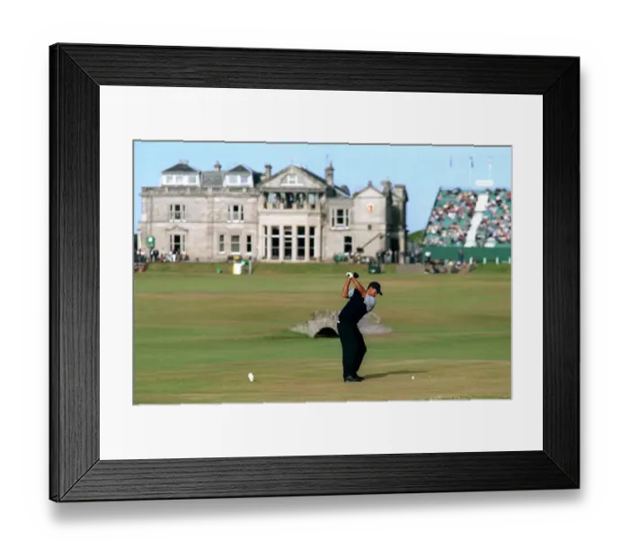 Framed Print : Tiger Woods