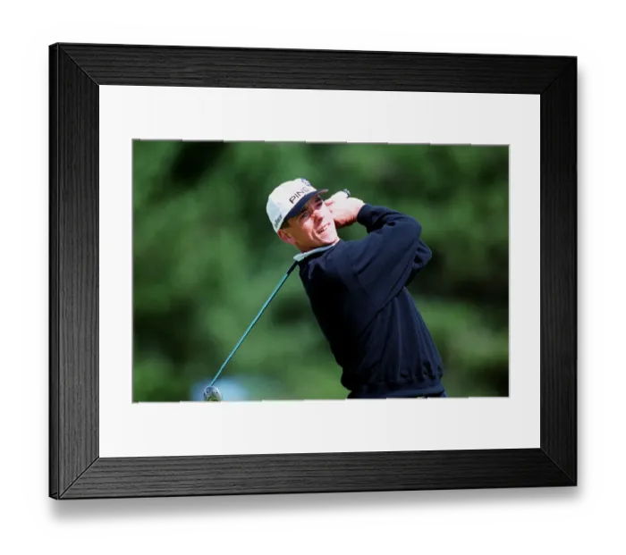 Framed Print : David Park