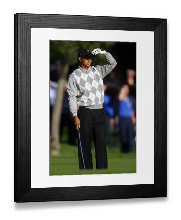 Framed Print : Tiger Woods Framed Print : Tiger Woods