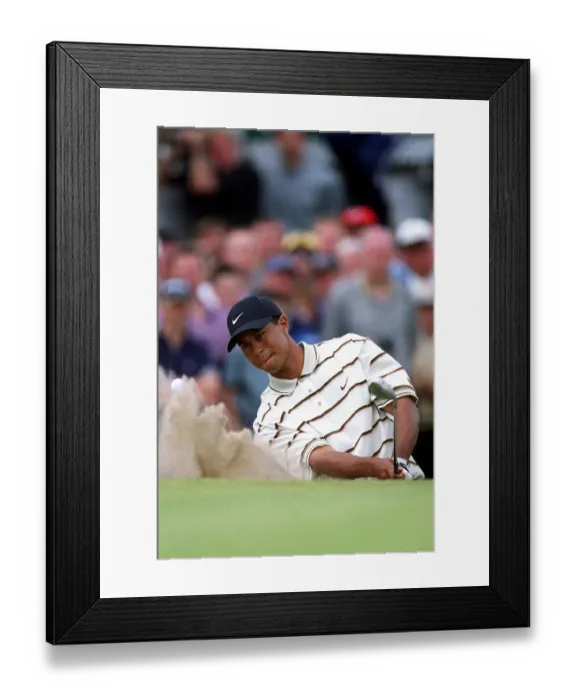 Framed Print : Tiger Woods Framed Print : Tiger Woods