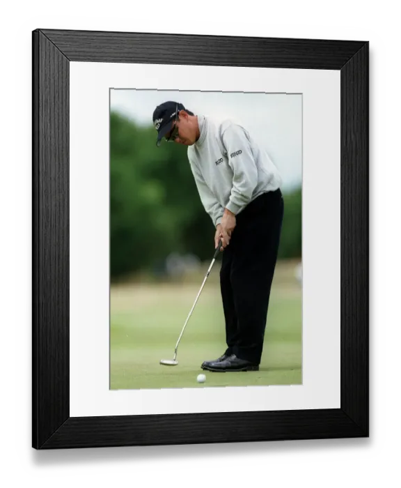 Framed Print : Toru Taniguchi Framed Print : Toru Taniguchi