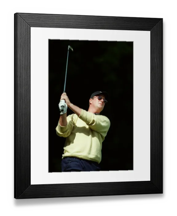 Framed Print : Stuart Little Framed Print : Stuart Little