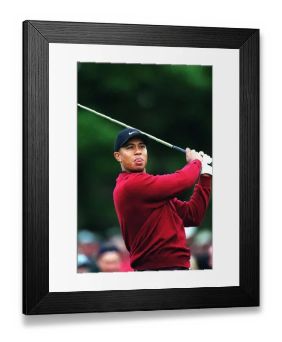Framed Print : Tiger Woods Framed Print : Tiger Woods