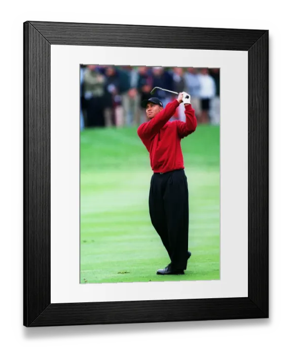 Framed Print : Tiger Woods Framed Print : Tiger Woods