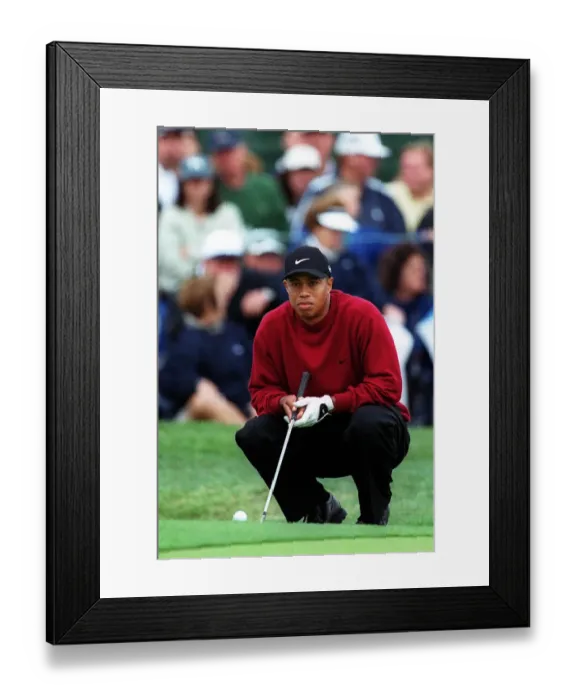 Framed Print : Tiger Woods Framed Print : Tiger Woods