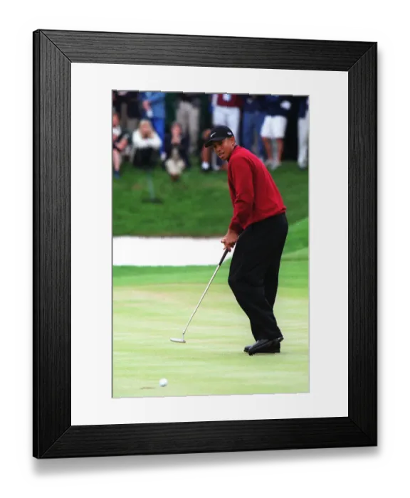 Framed Print : Tiger Woods Framed Print : Tiger Woods