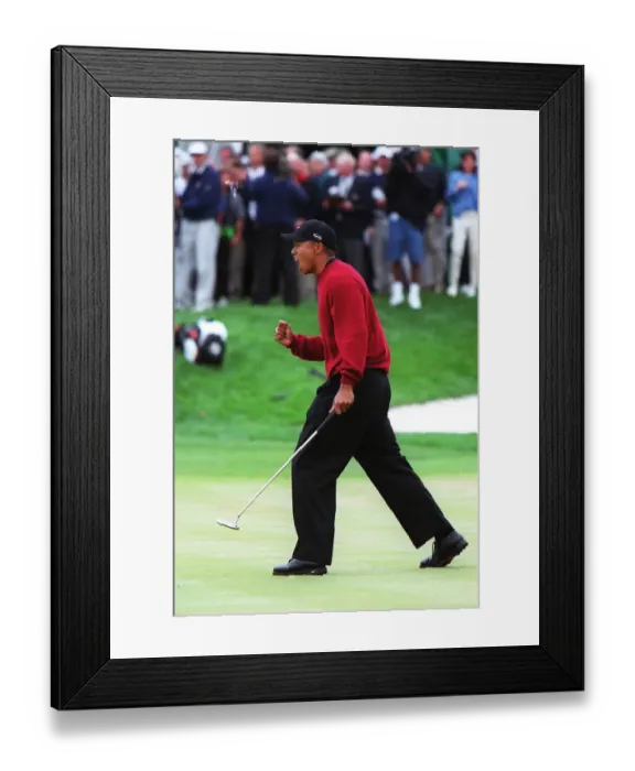 Framed Print : Tiger Woods Framed Print : Tiger Woods