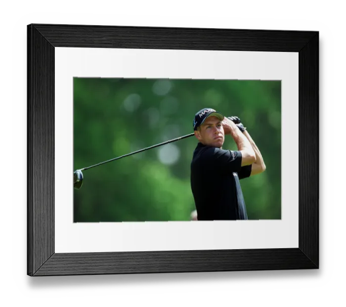 Framed Print : Mark Davis Framed Print : Mark Davis