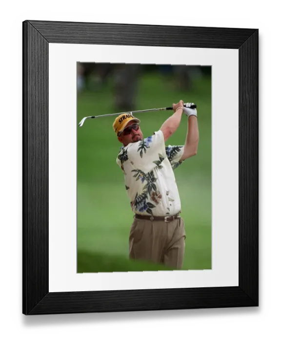 Framed Print : Dennis Paulson