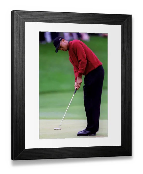 Framed Print : Tiger Woods Framed Print : Tiger Woods
