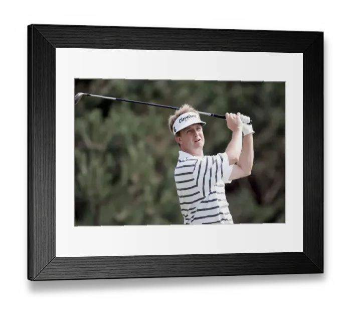Framed Print : David Toms Framed Print : David Toms