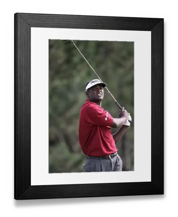 Framed Print : Vijay Singh Framed Print : Vijay Singh