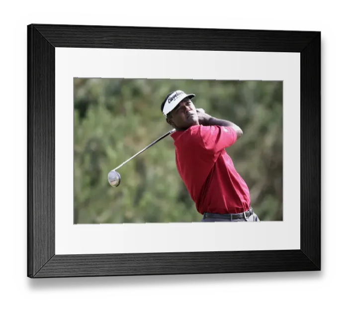 Framed Print : Vijay Singh Framed Print : Vijay Singh