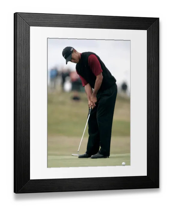 Framed Print : Tiger Woods Framed Print : Tiger Woods