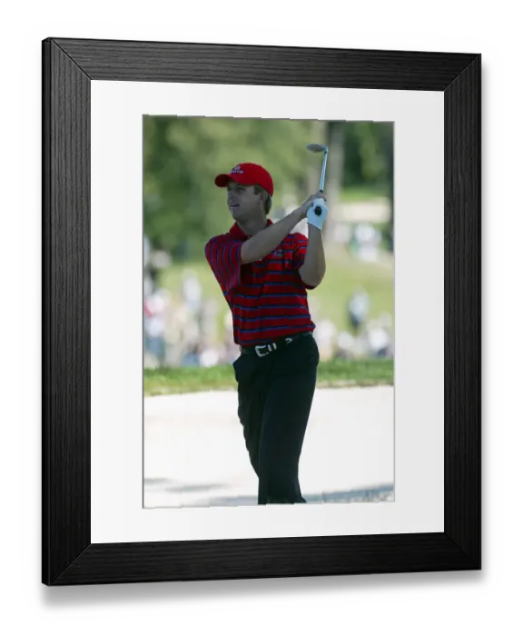 Framed Print : David Toms Framed Print : David Toms