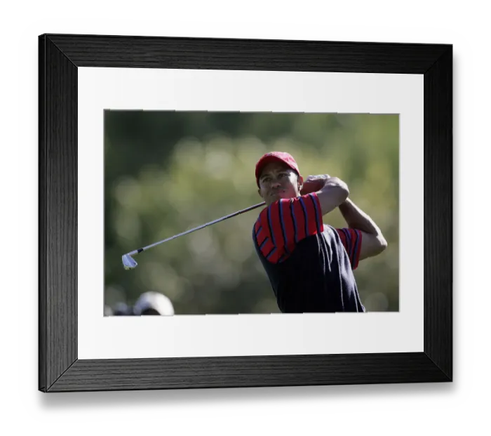 Framed Print : Tiger Woods Framed Print : Tiger Woods