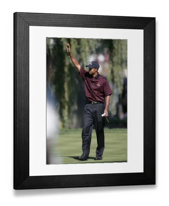 Framed Print : Tiger Woods Framed Print : Tiger Woods