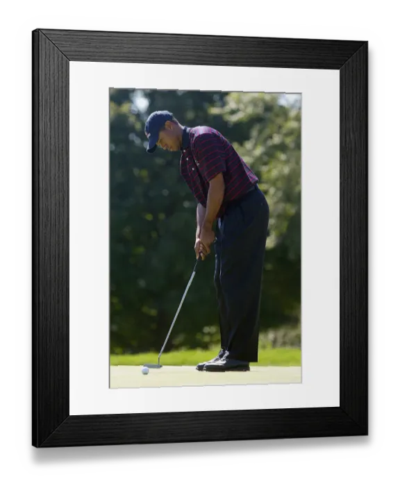 Framed Print : Tiger Woods