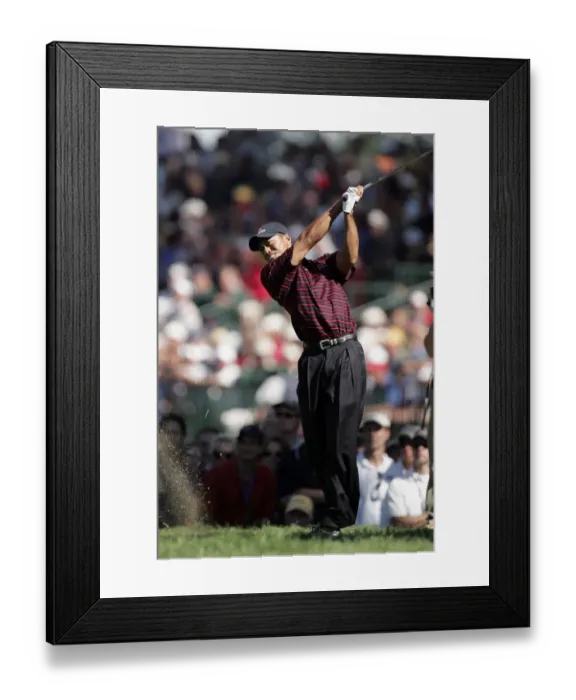 Framed Print : Tiger Woods Framed Print : Tiger Woods