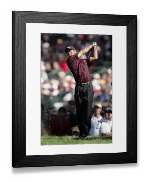 Framed Print : Tiger Woods Framed Print : Tiger Woods