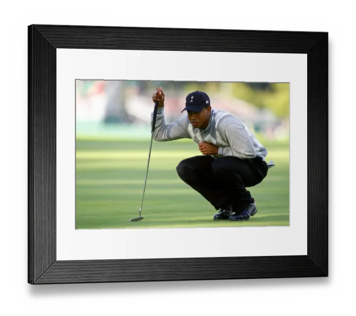 Framed Print : Tiger Woods Framed Print : Tiger Woods