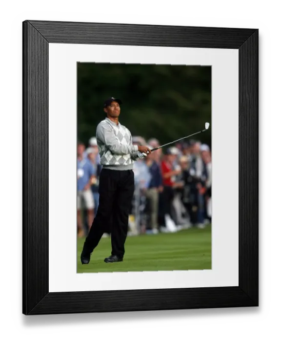 Framed Print : Tiger Woods Framed Print : Tiger Woods