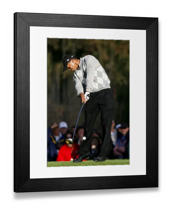 Framed Print : Tiger Woods Framed Print : Tiger Woods