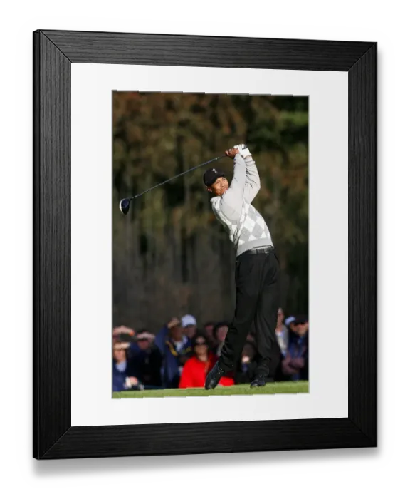 Framed Print : Tiger Woods Framed Print : Tiger Woods