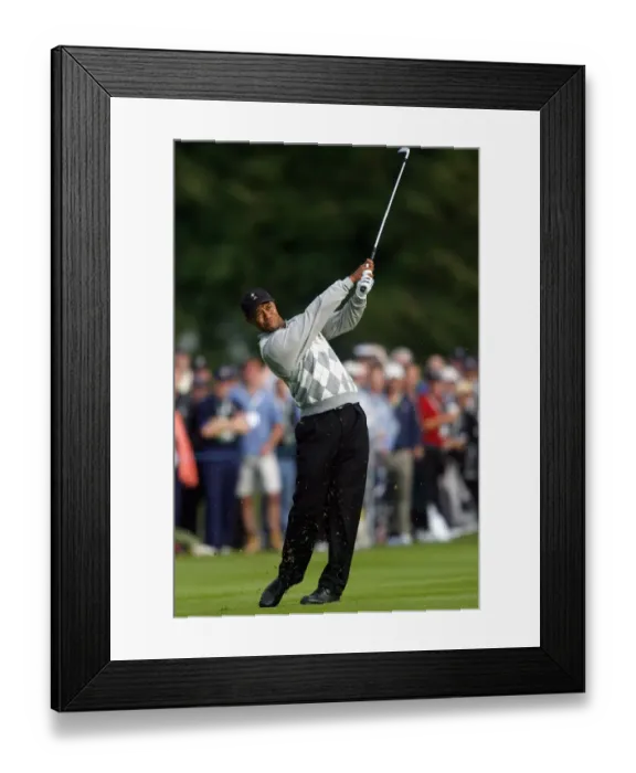 Framed Print : Tiger Woods Framed Print : Tiger Woods