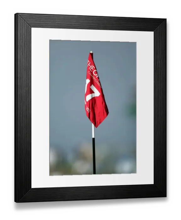 Framed Print : 17th Flagstick Framed Print : 17th Flagstick