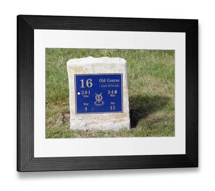 Framed Print : 16th Hole Plaque Framed Print : 16th Hole Plaque