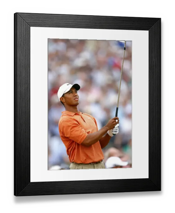 Framed Print : Tiger Woods Framed Print : Tiger Woods