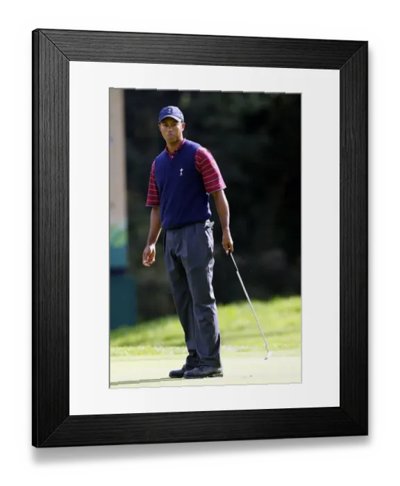 Framed Print : Tiger Woods Framed Print : Tiger Woods