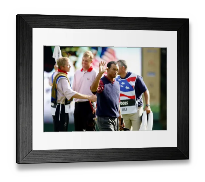 Framed Print : Tiger Woods Defeats Robert Karlsson Framed Print : Tiger Woods Defeats Robert Karlsson
