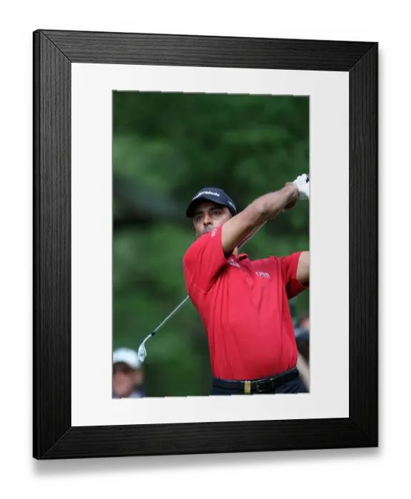 Framed Print : Jyoti Randhawa Framed Print : Jyoti Randhawa