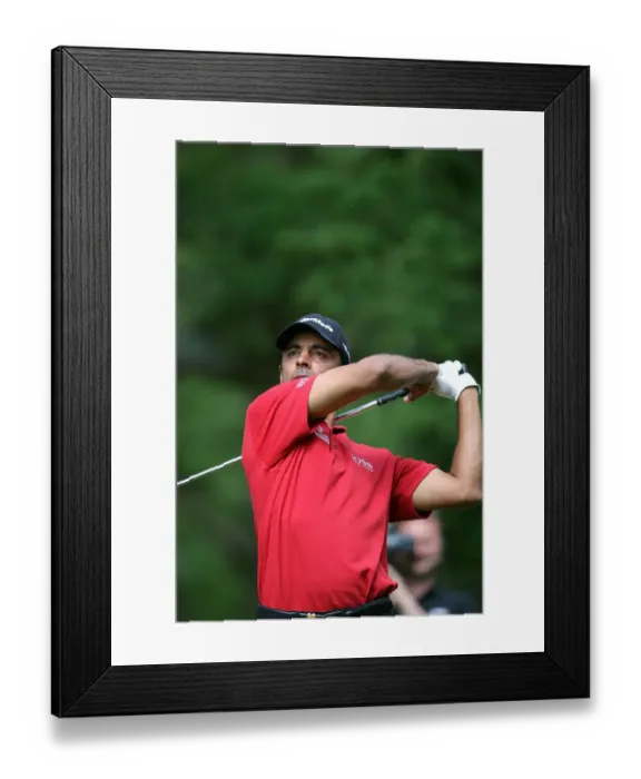 Framed Print : Jyoti Randhawa